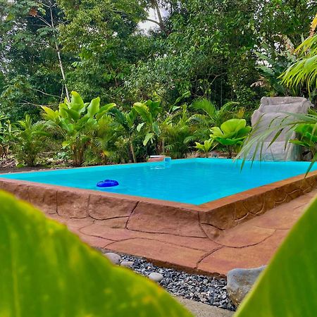Iki Volcan Arenal With Jacuzzy La Fortuna Bagian luar foto